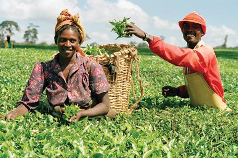 farming